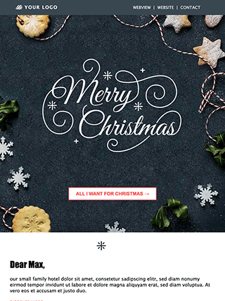 Modèle de newsletter rapidmail pour Noël